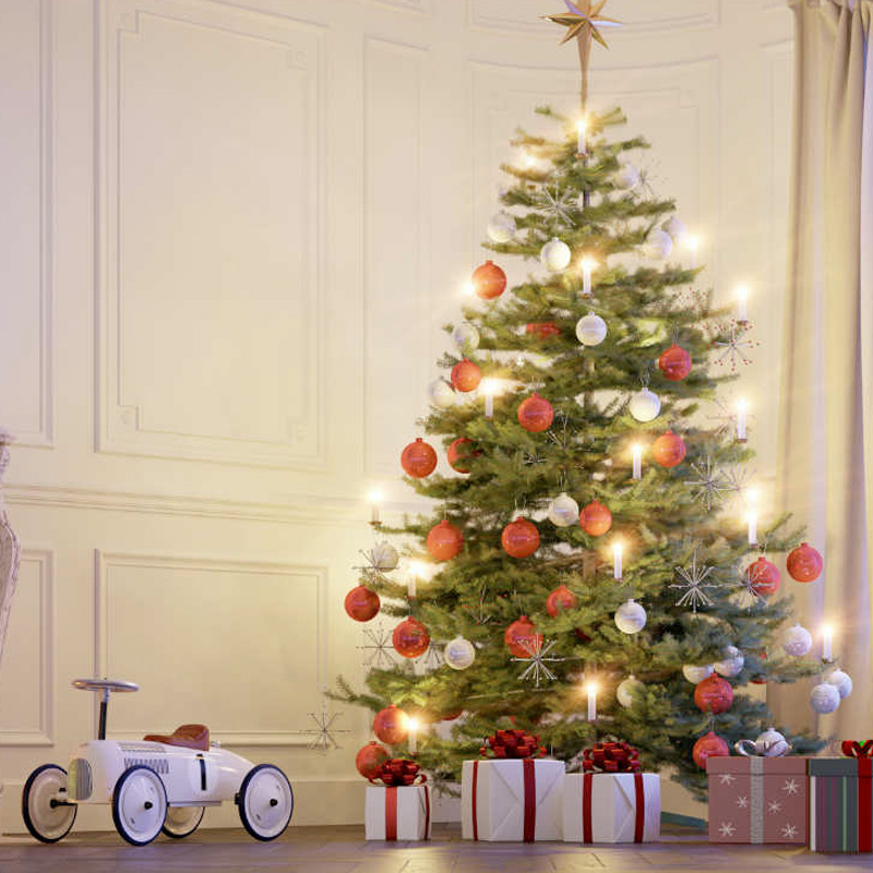 Bosatta - natale 2019